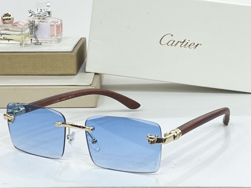 Cartier Sunglasses